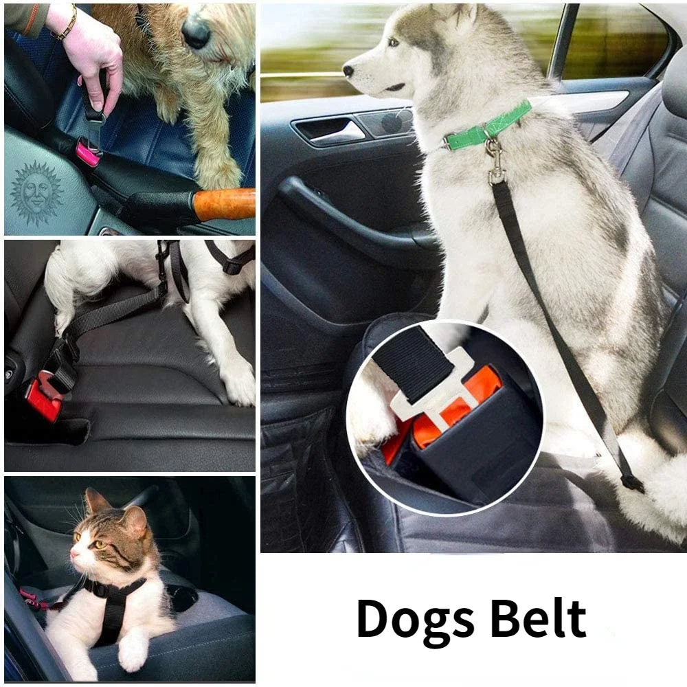 Car Pet Harness, Front