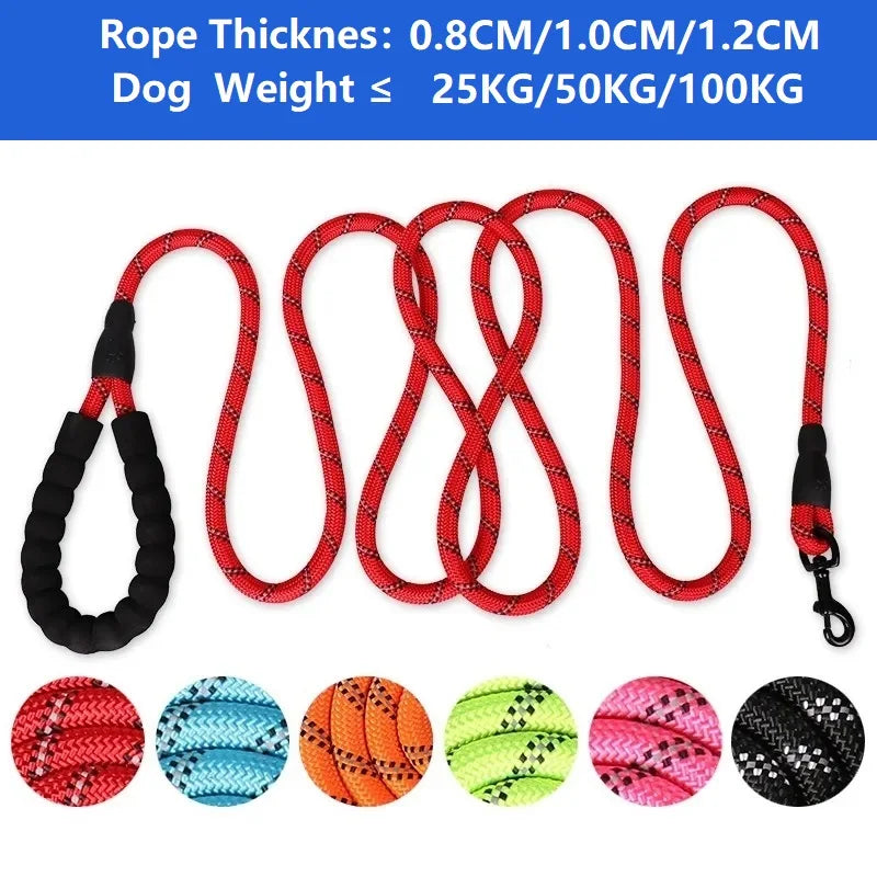 Dog leash, Front