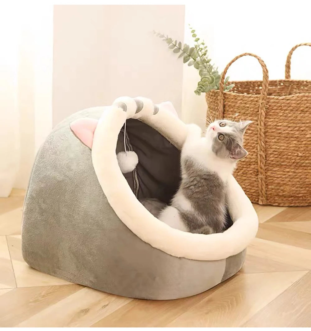 Cat Bed, Front