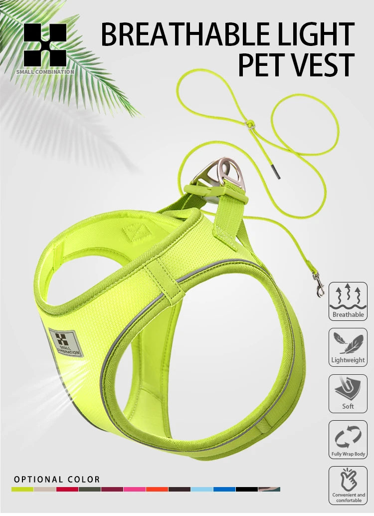 Dog Harness & Leash Set for Small To Medium Dog