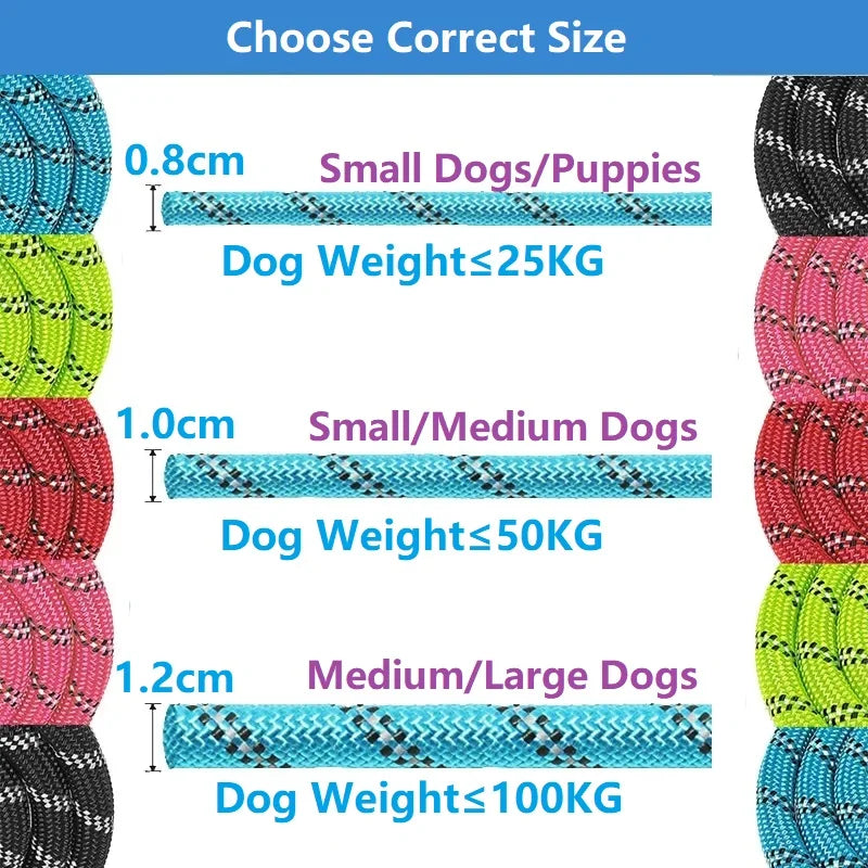 Dog Leash 120/150/200/300CM
