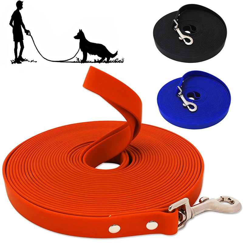 Dog leash, Front