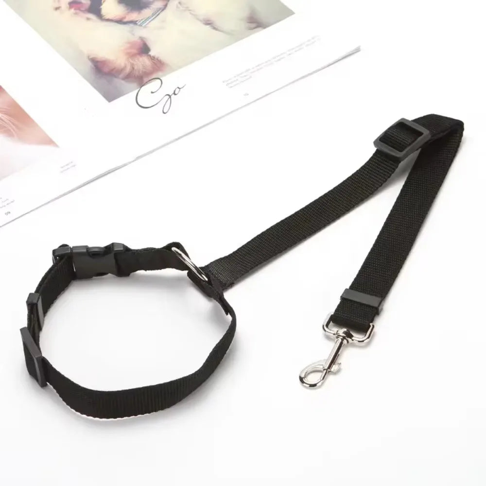 Dog Harness, Front
