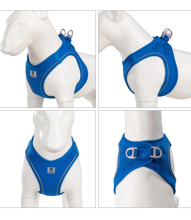 Dog Harness & Leash Set for Small To Medium Dog