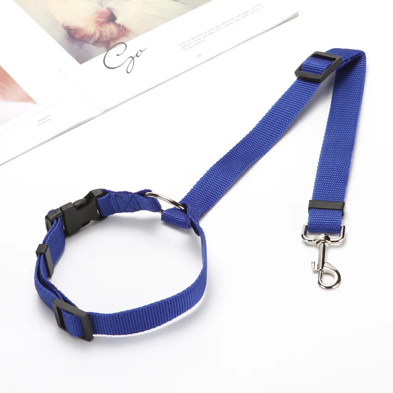 Dog Harness, Front