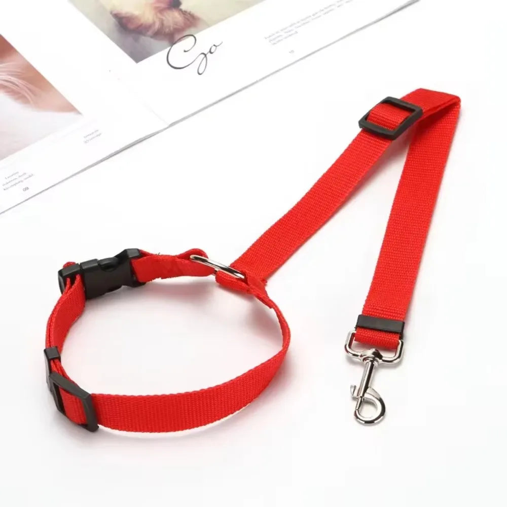 Dog Harness, Front