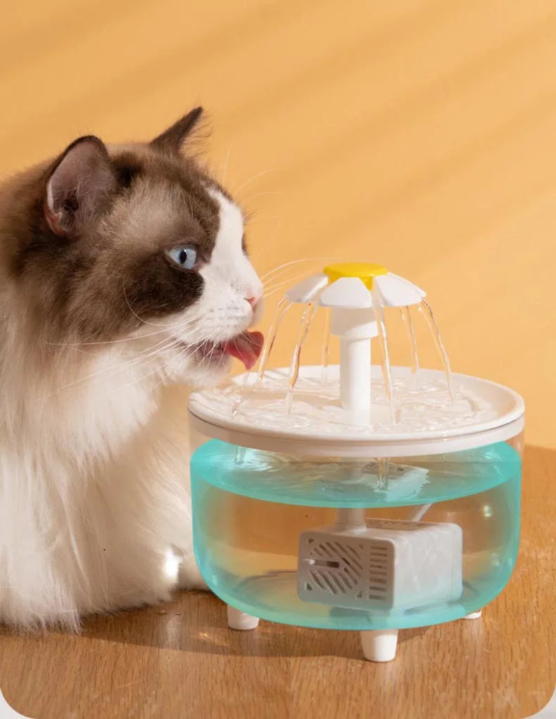 Pet Water Fountain