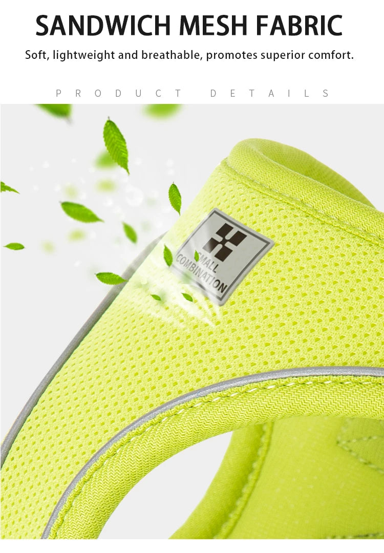 Dog Harness & Leash Set for Small To Medium Dog