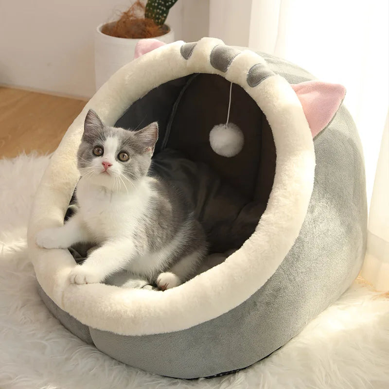 Cat Bed, Front