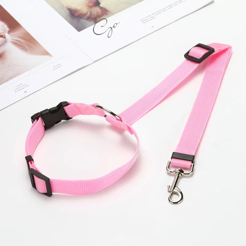 Dog Harness, Front