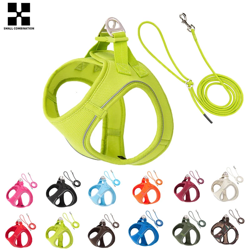 Dog Harness & Leash Set for Small To Medium Dog