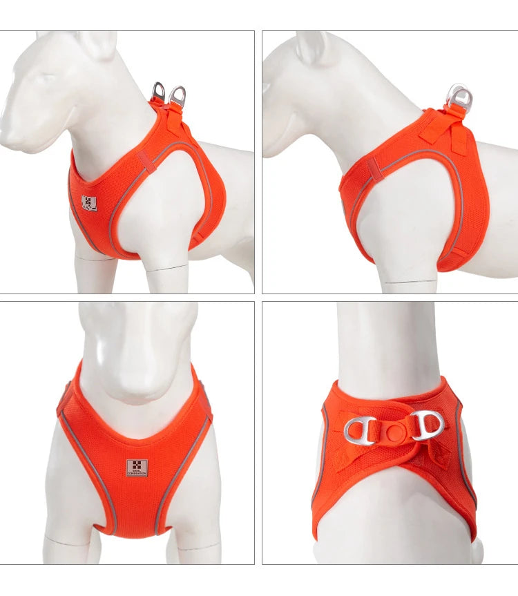 Dog Harness & Leash Set for Small To Medium Dog