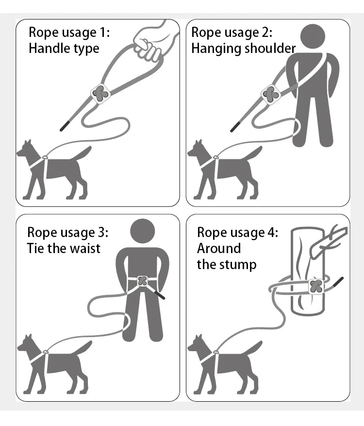 Dog Harness & Leash Set for Small To Medium Dog