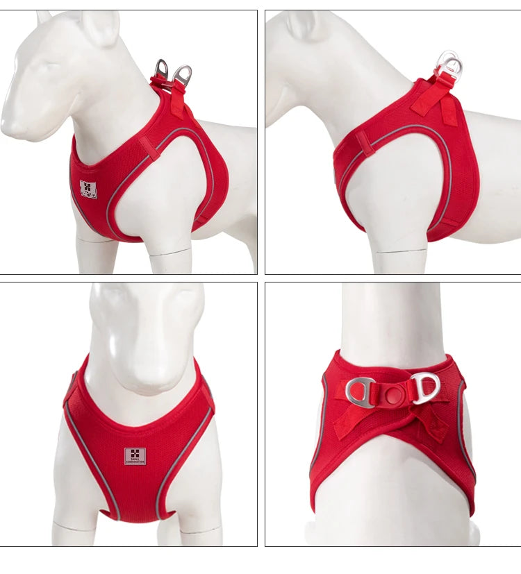 Dog Harness & Leash Set for Small To Medium Dog
