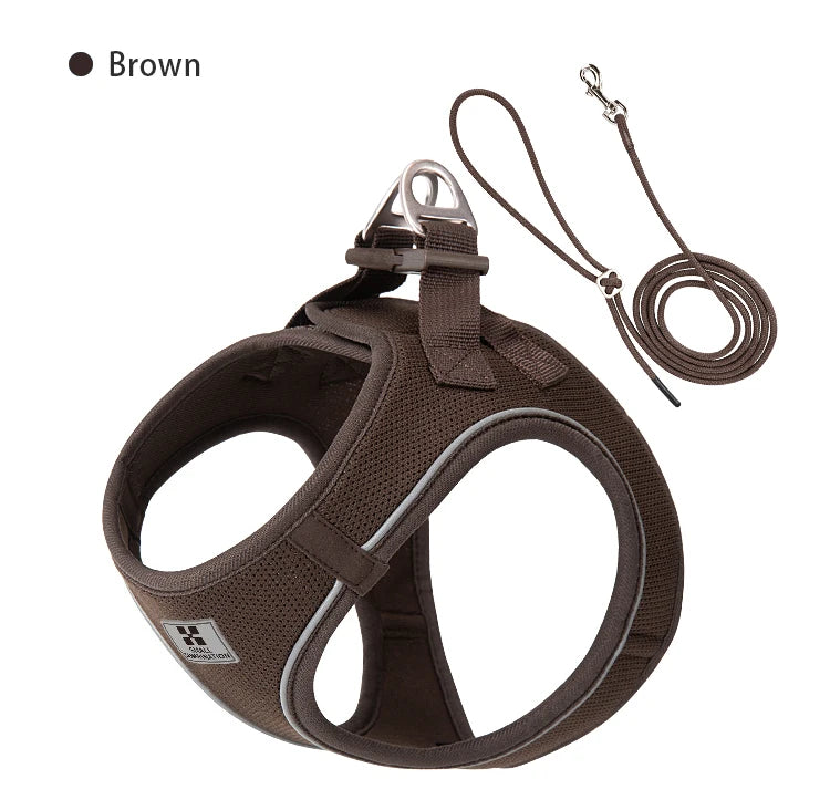Dog Harness & Leash Set for Small To Medium Dog