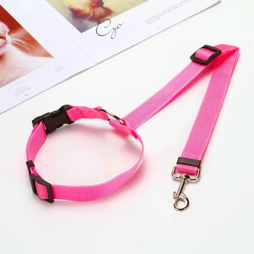 Dog Harness, Front