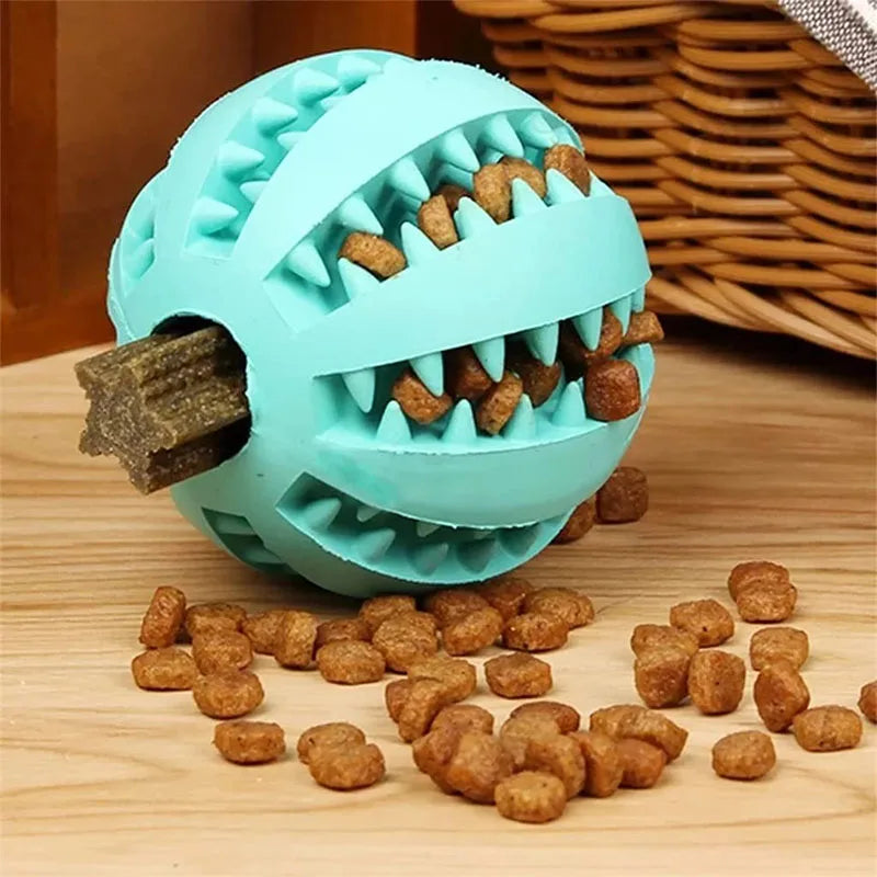 Pet Toy, Front