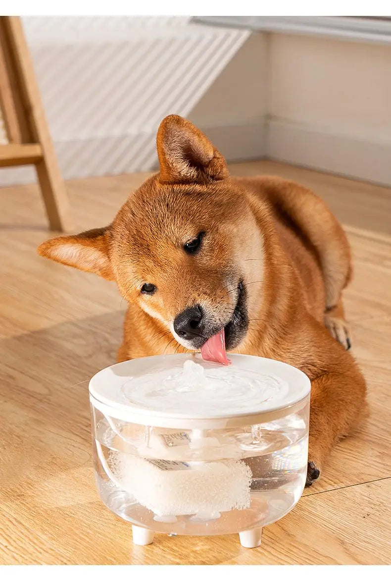 Pet Water Fountain