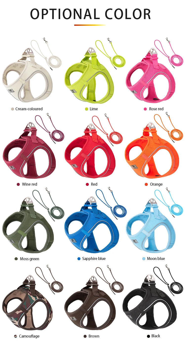 Dog Harness & Leash Set for Small To Medium Dog