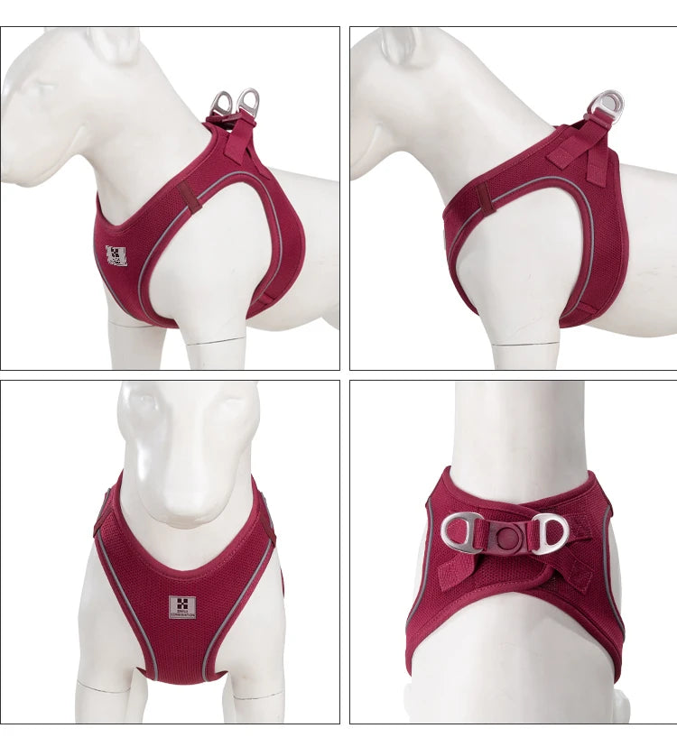 Dog Harness & Leash Set for Small To Medium Dog