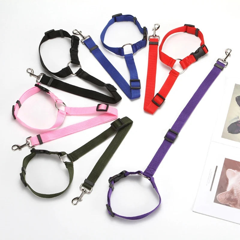 Dog Harness, Front