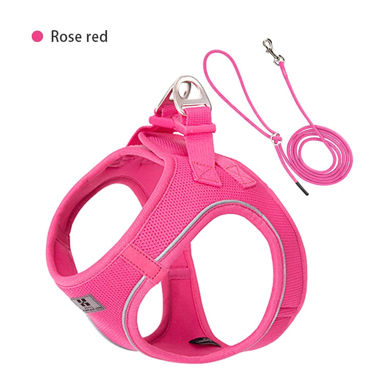 Dog Harness & Leash Set for Small To Medium Dog