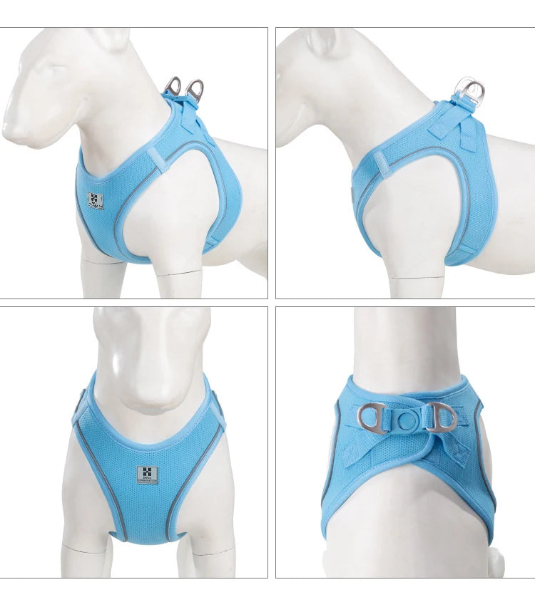 Dog Harness & Leash Set for Small To Medium Dog