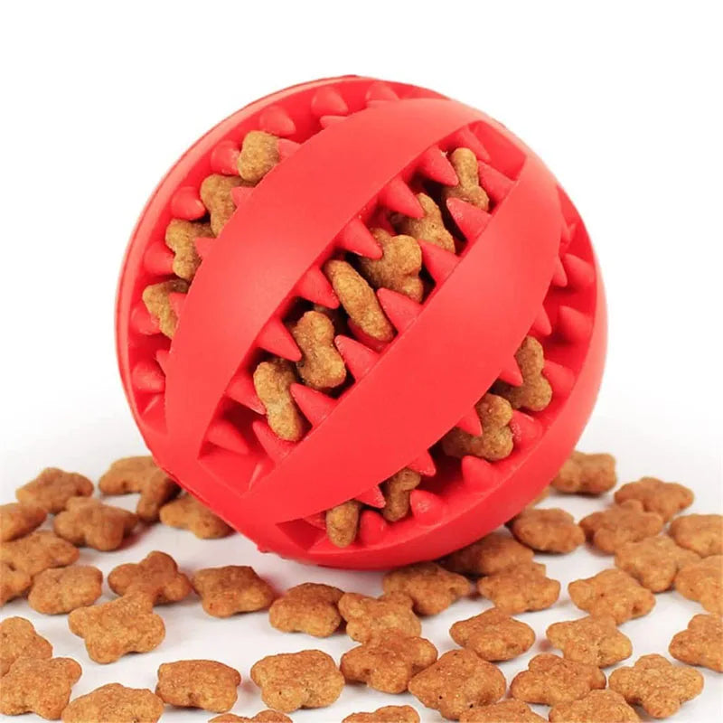Pet Toy, Front
