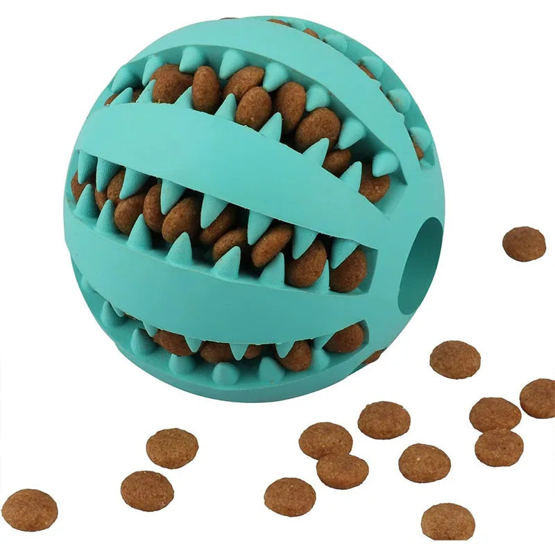 Pet Toy, Front
