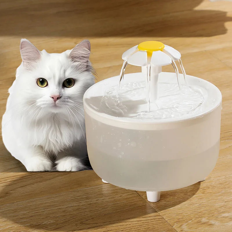 Pet Water Fountain