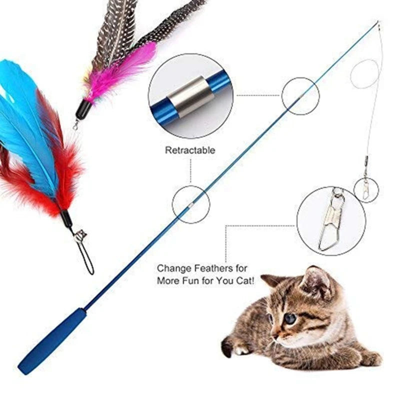 Cat Toy, Front