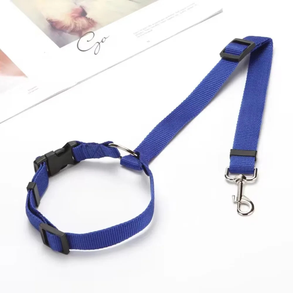 Dog Harness, Front