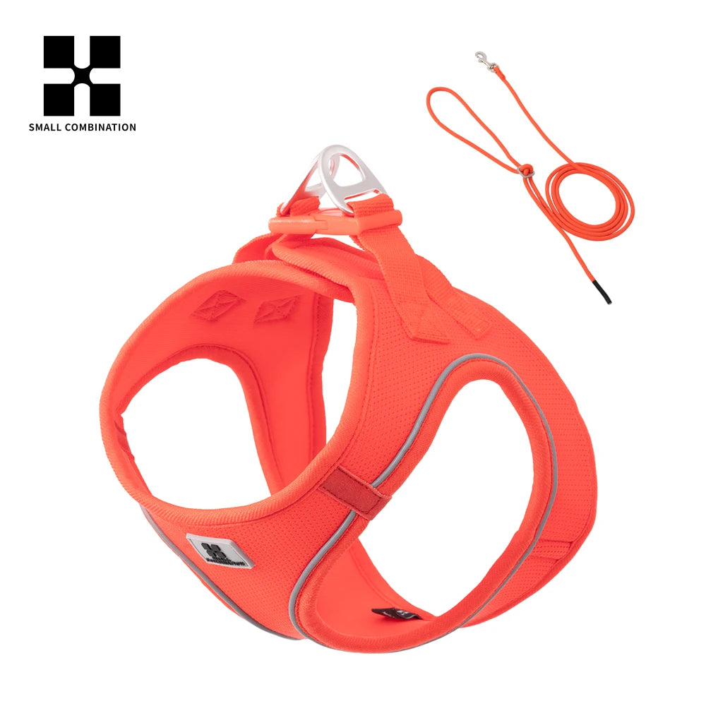Dog Harness & Leash Set for Small To Medium Dog