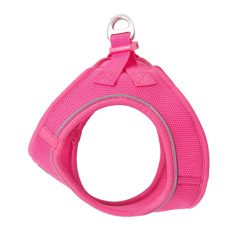 Dog Harness & Leash Set for Small To Medium Dog