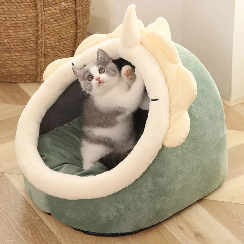 Cat Bed, Front