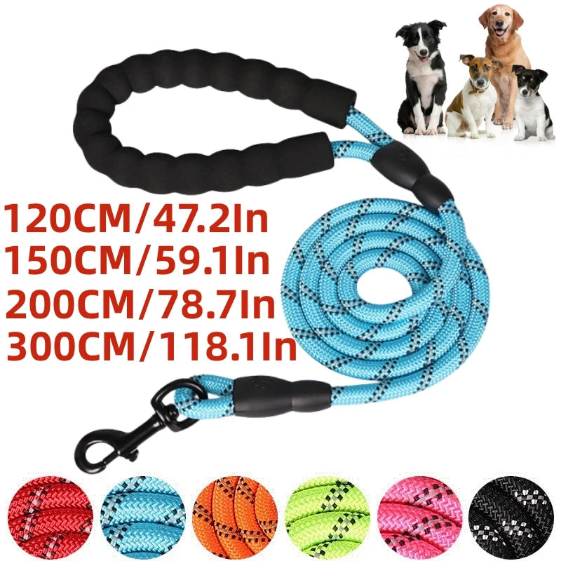 Dog leash, Front