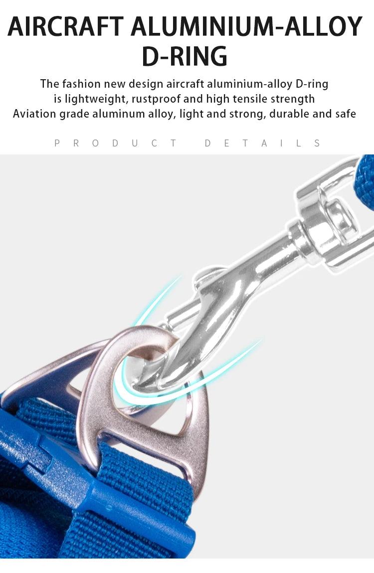 Dog Harness & Leash Set for Small To Medium Dog