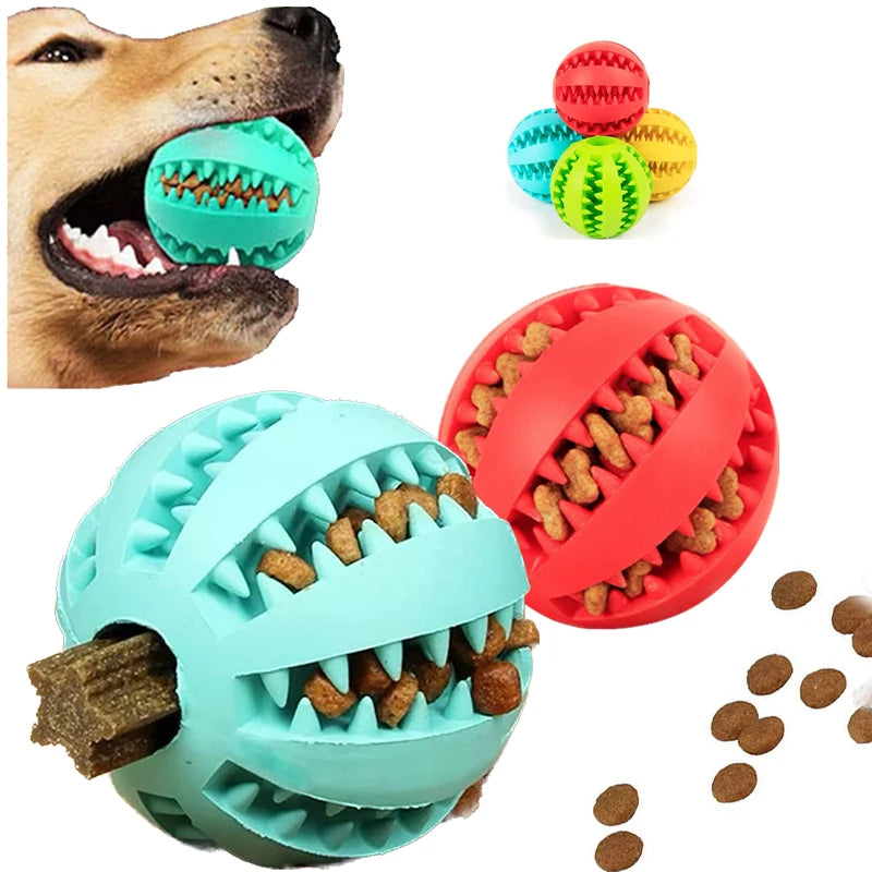 Pet Toy, Front