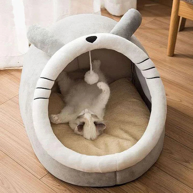 Cat Bed, Front