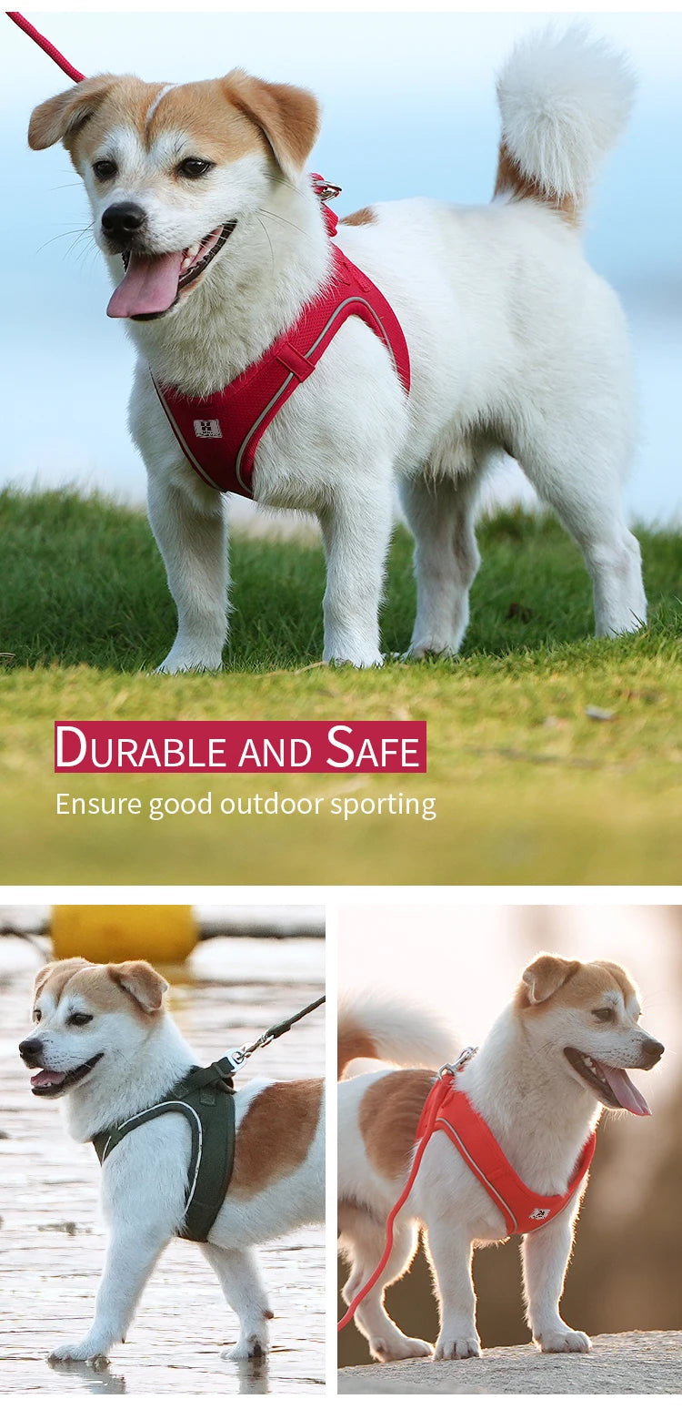 Dog Harness & Leash Set for Small To Medium Dog