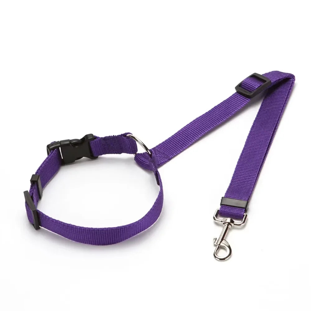 Dog Harness, Front