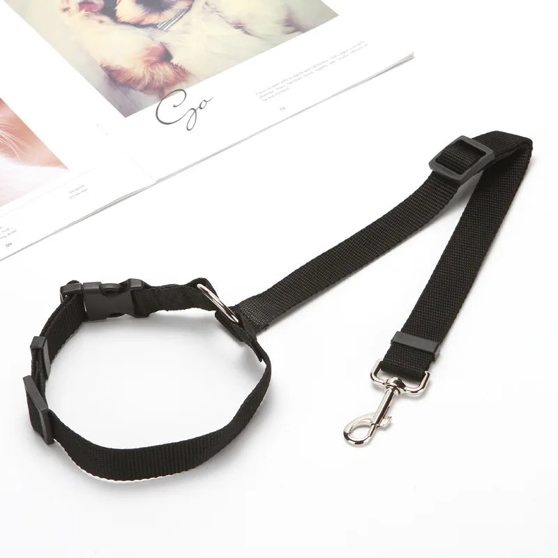 Dog Harness, Front