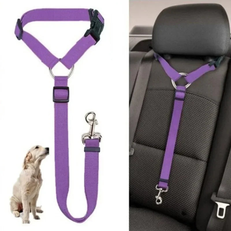 Dog Harness, Front