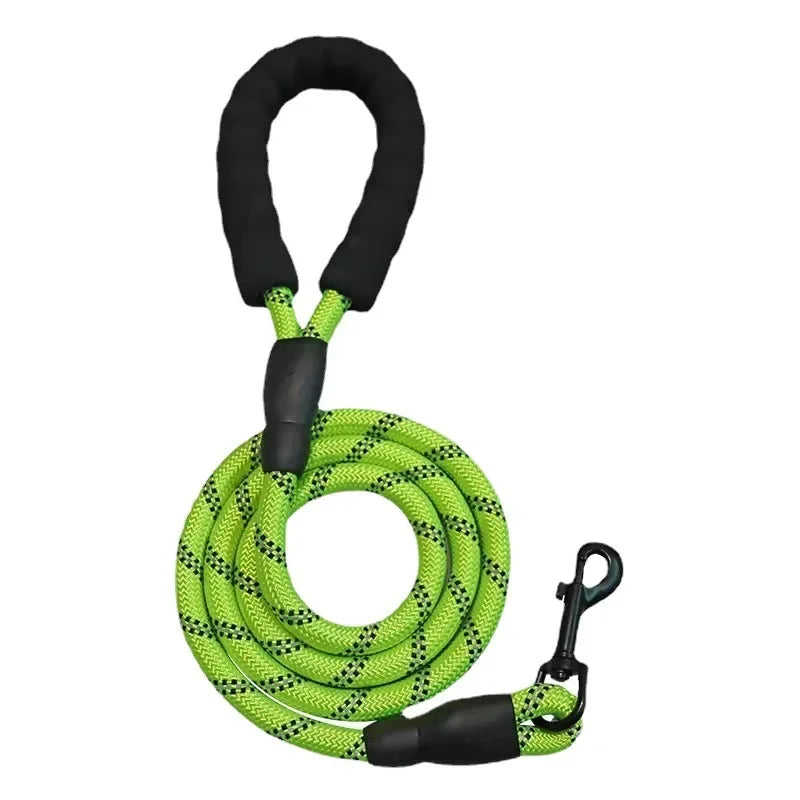 Dog leash, Front