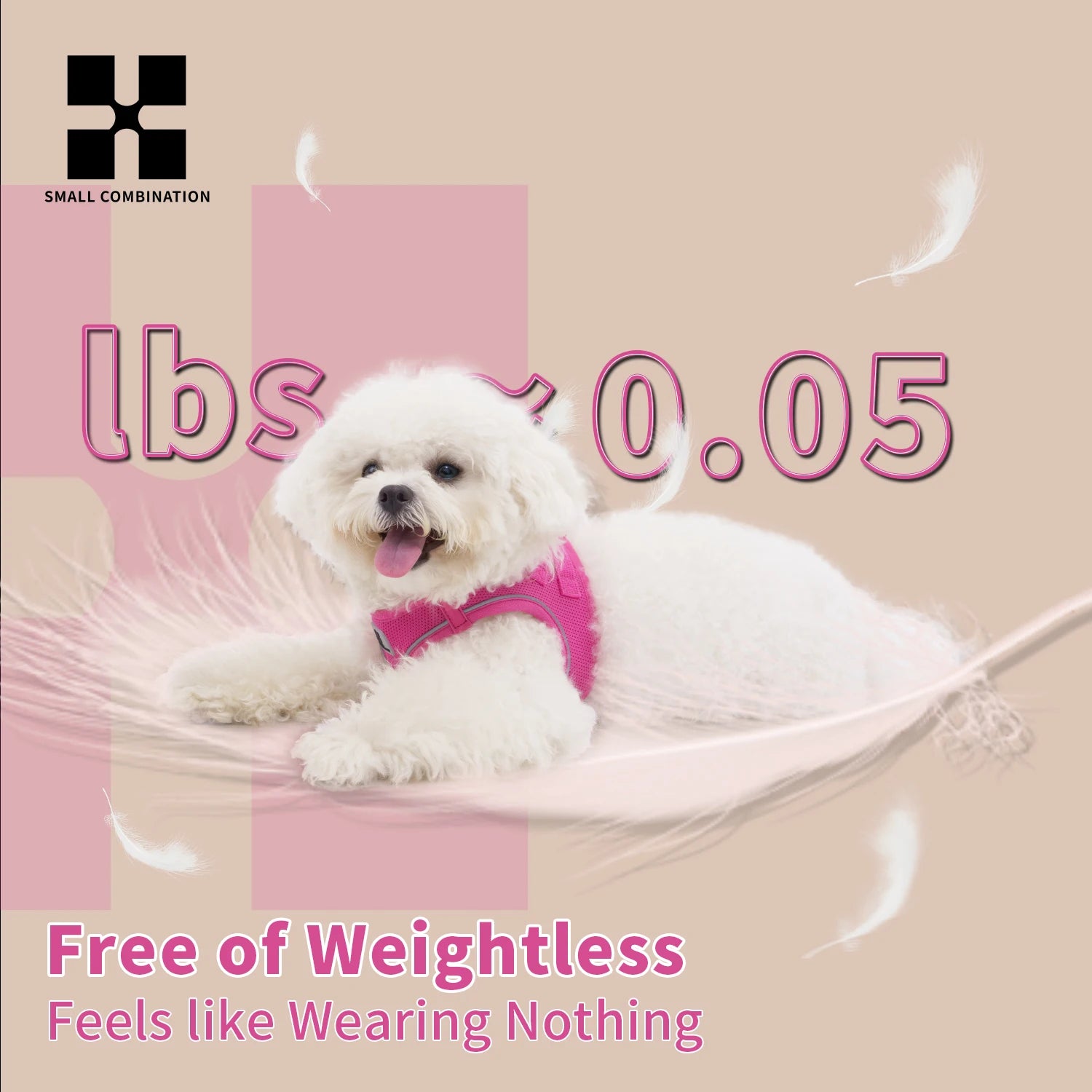 Dog Harness & Leash Set for Small To Medium Dog