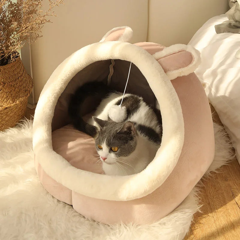 Cat Bed, Front