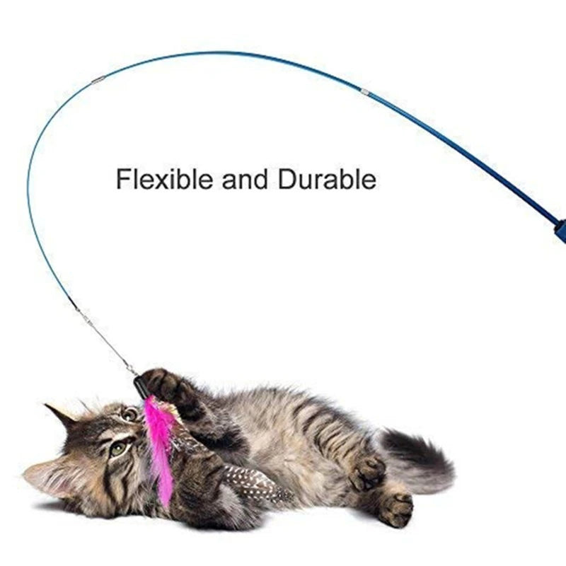 Cat Toy, Front