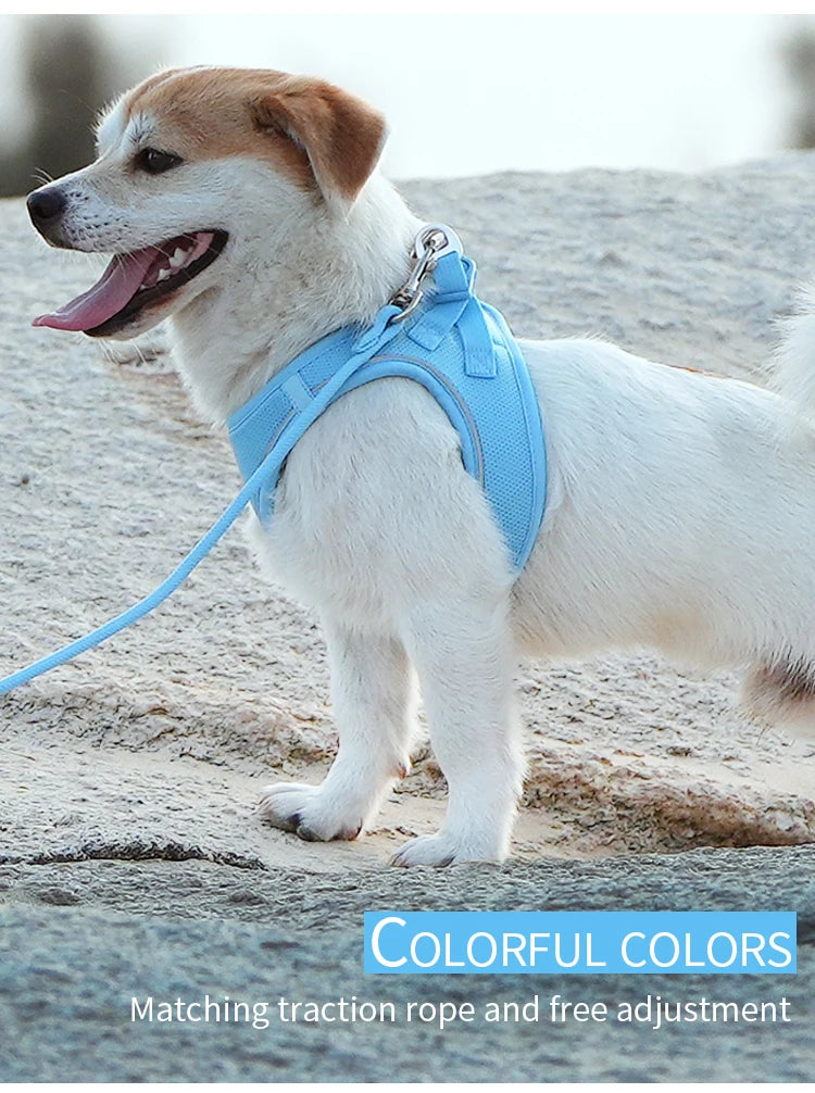 Dog Harness & Leash Set for Small To Medium Dog