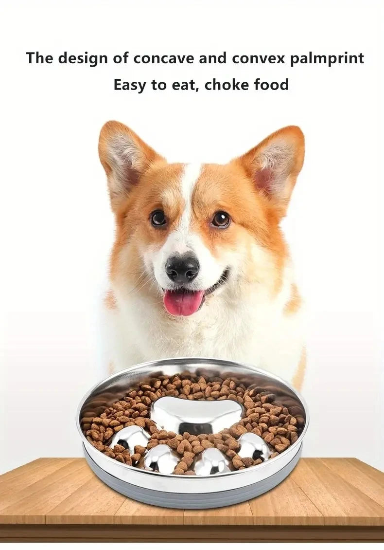 Premium Stainless Steel Choke Prevention And Slow Eating Food Bowl