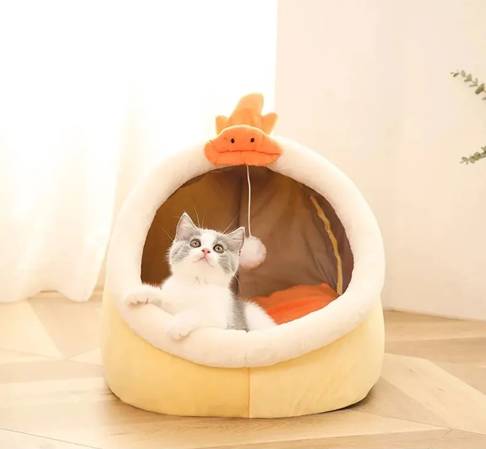 Cat Bed, Front